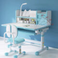 LYHOE Height Adjustable Kids Desk and Chair Set HT805