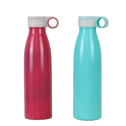 Botella Acero Inox 750Ml