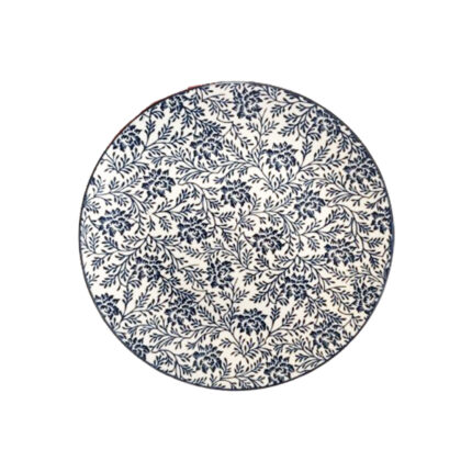 Plato 22Cm